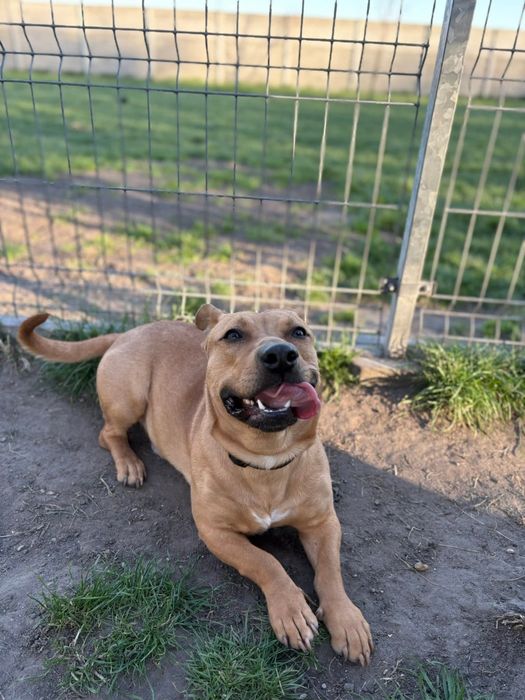 Marzy tylko o jednym – o wolności, miłości i człowieku, który go zrozu