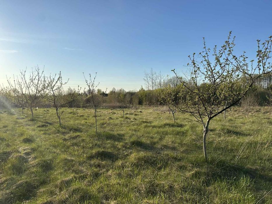 Продаж ділянки с.Бірче- Великий Любінь. Без комісії