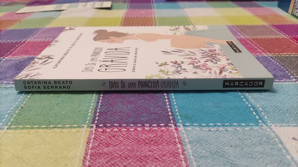 Livro Dias de uma Princesa Grávida