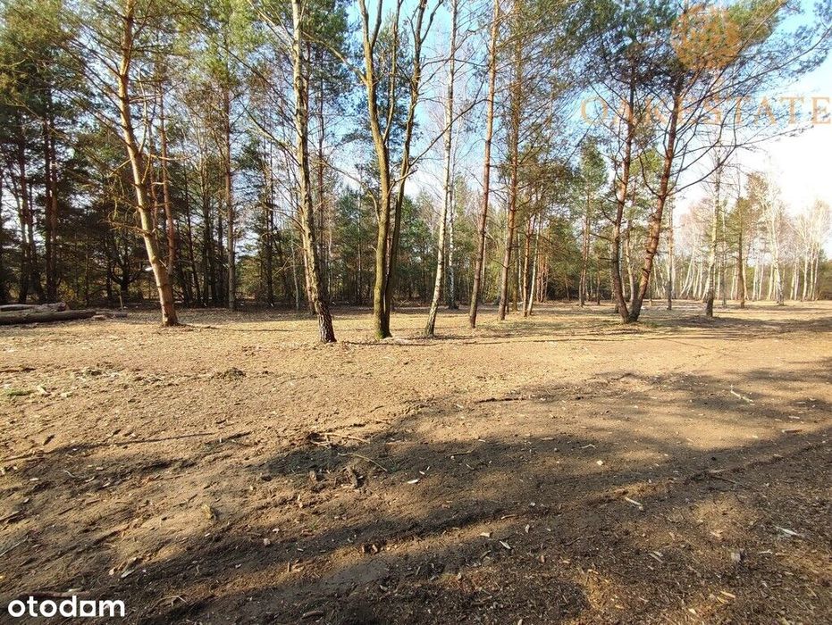 działki 1100 m2, cisza i zieleń