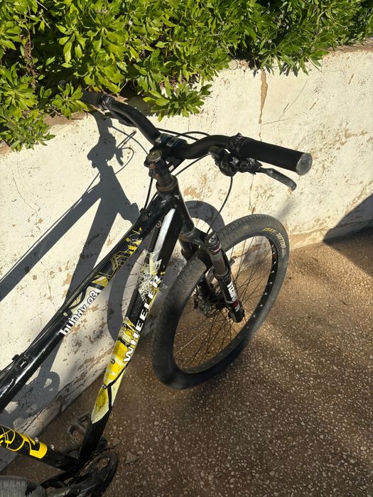 Bicicleta MTB Wheeler Buddy '03
