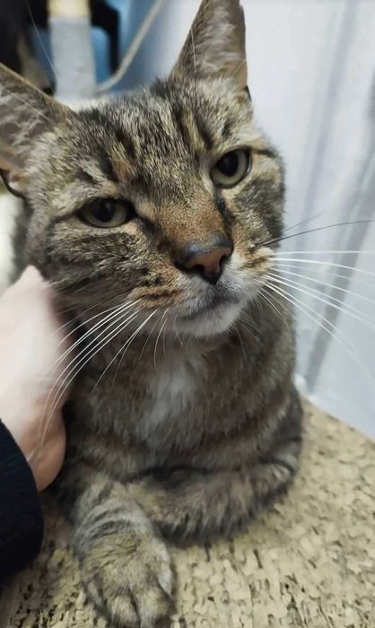 Bruno, słodki chłopak z charakterem