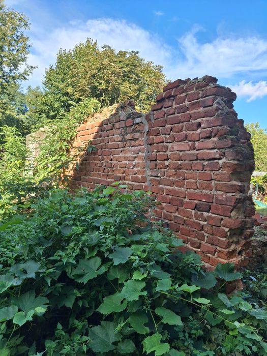 Oddam gruz dołożę do kosztów odbioru