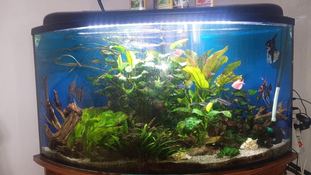Sprzedam akwarium