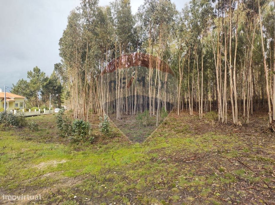 Terreno  para venda — Santa Eufémia E Boa Vista, Leiria