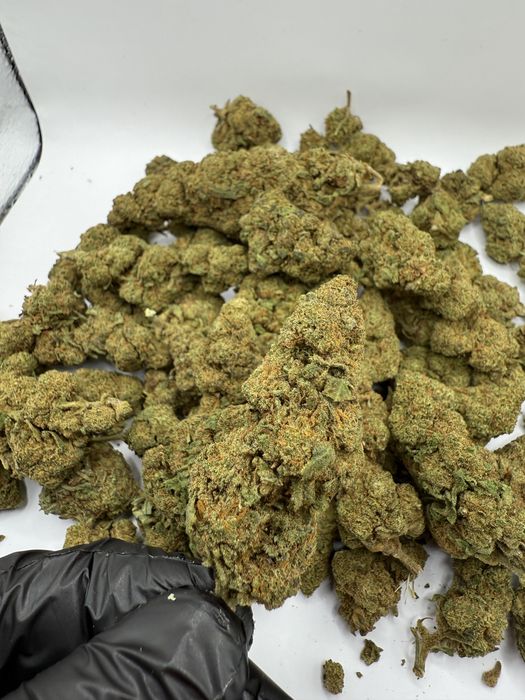 Susz CBD Sweetberry 1kg/THC<0.3%