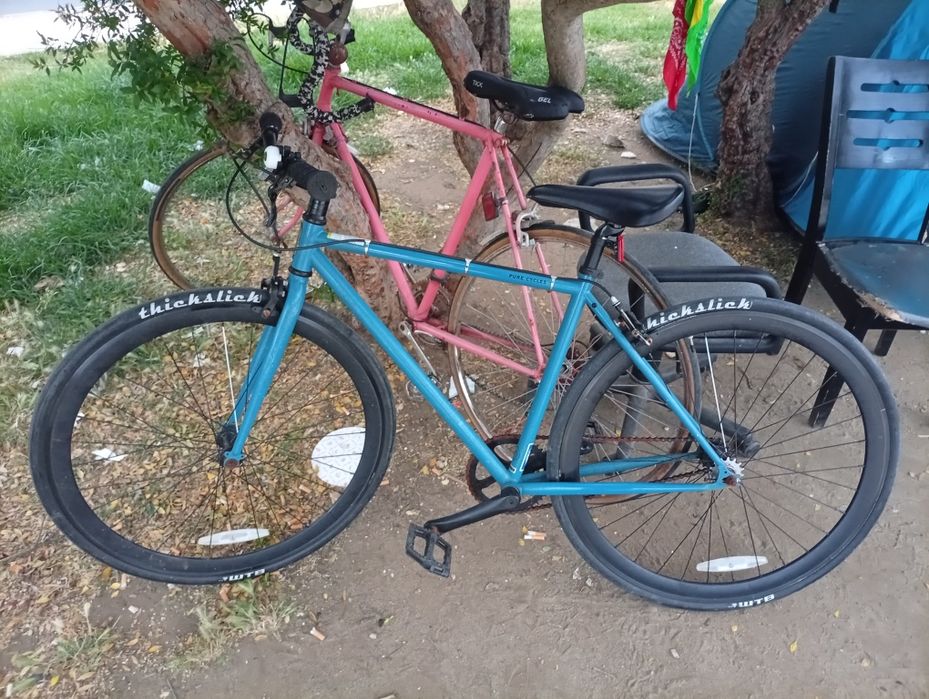 Pure Cycles Original de velocidade única