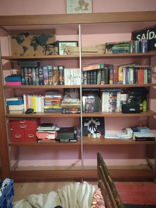 Estantes madeira maciça e ferro.