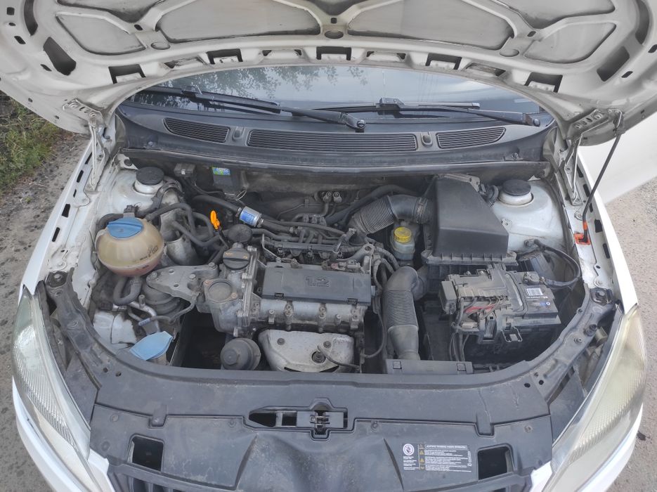Skoda Fabia  2010 газ/бенз