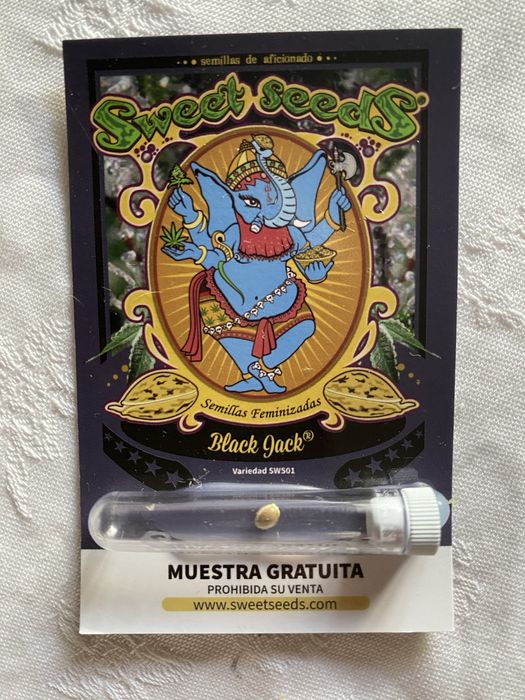 Kit Cultivo Interior Completo Probox EcoPro + HPS 250W + Sementes