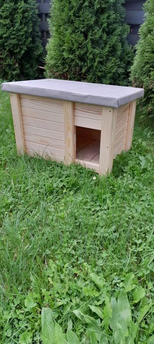 Buda dla kota - małego psa