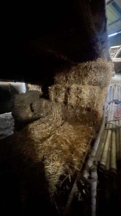 Fardos de palha de aveia