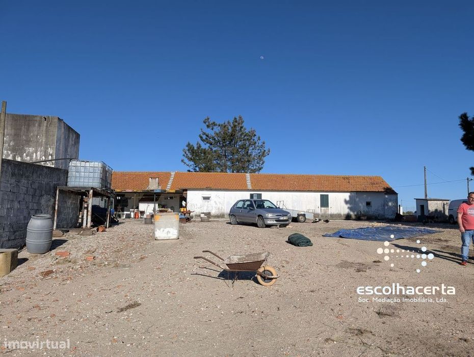 Quinta com Moradia Bifamiliar + 2,5 Hectares em Pegões |...