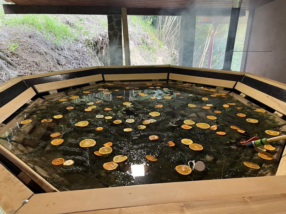 Здається будиночок. Баня і чан є на території