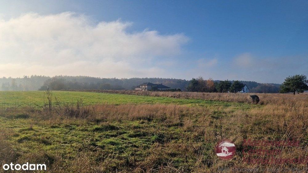Działki budowlane w Złotopolicach z Wz + media