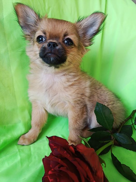 Подарунок закоханим!!!