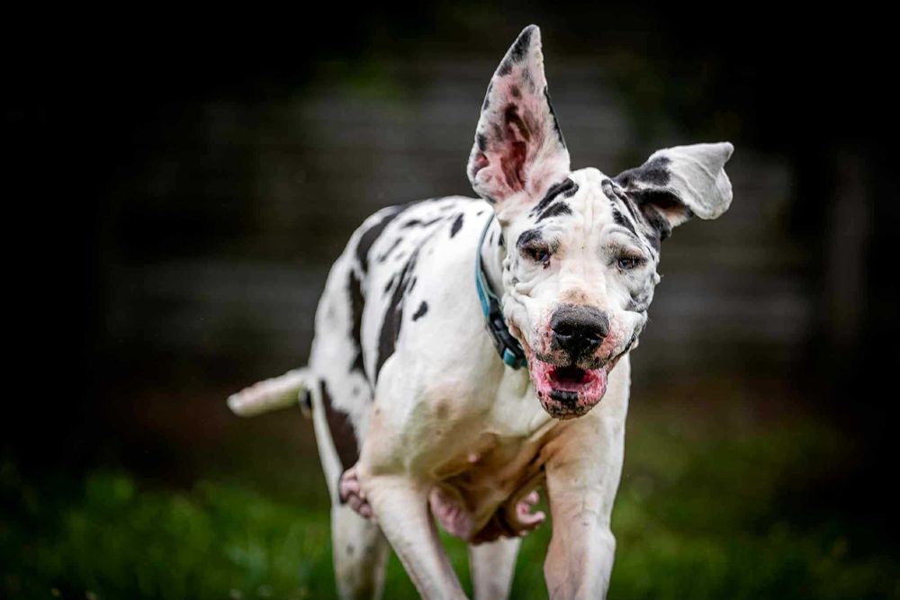 Trudno uwierzyć w jej historię-przeczytaj  i uratuj.