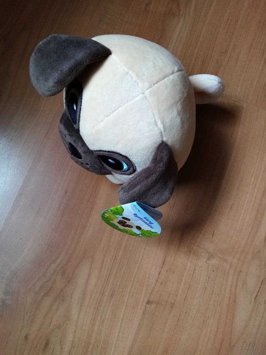 Gang Bystrzaków Piesek