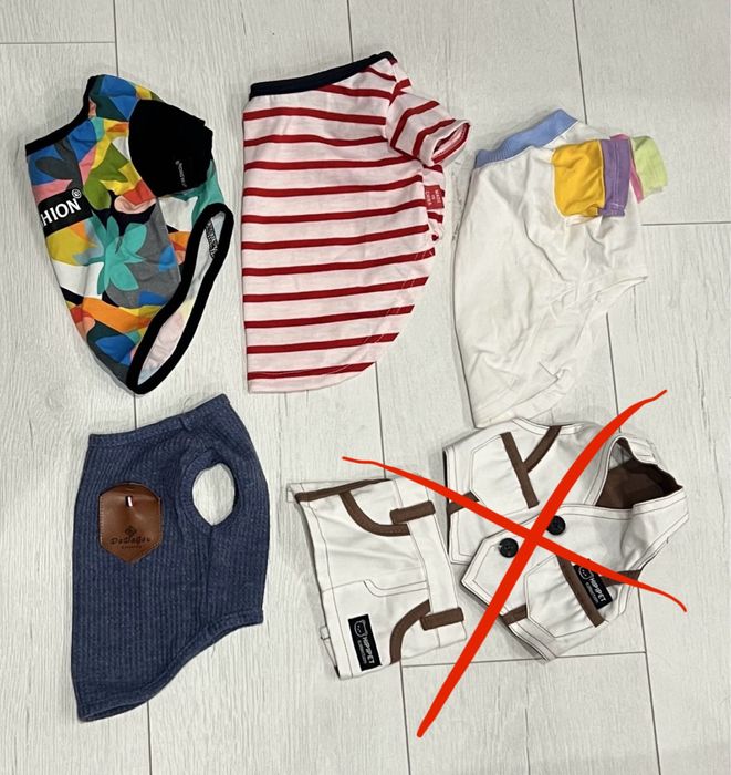 Шлея Zeedog розмір XS ami play pesic co pets fashion