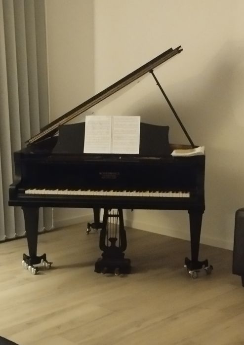 Aulas de piano (casa ou domicílio)