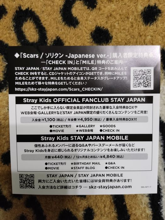 Stray Kids Scars. Японська версія. 2021 рік