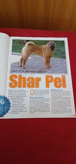 Cães & Companhia de 2009
