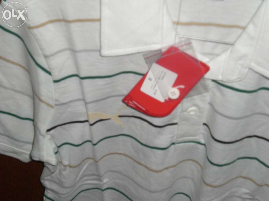 Polo oficial sporting novo