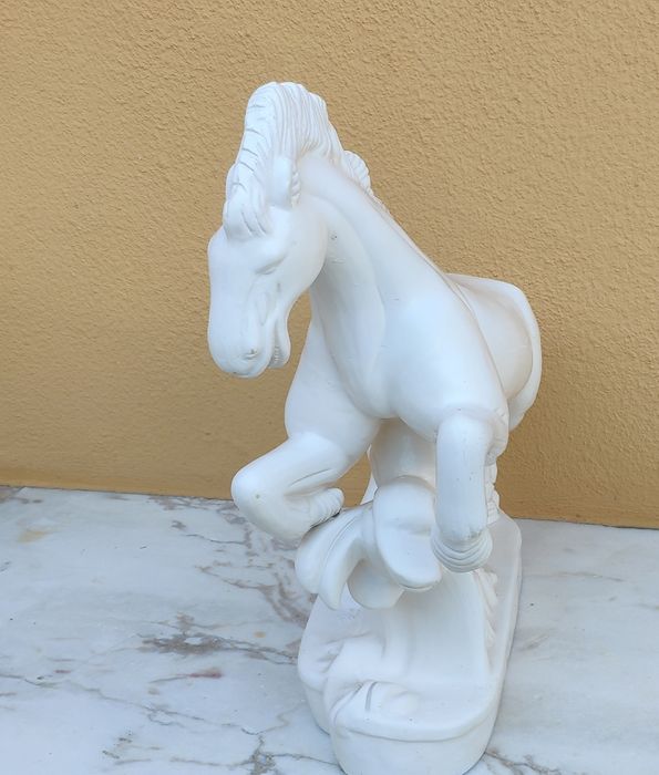 Cavalo Branco Selvagem