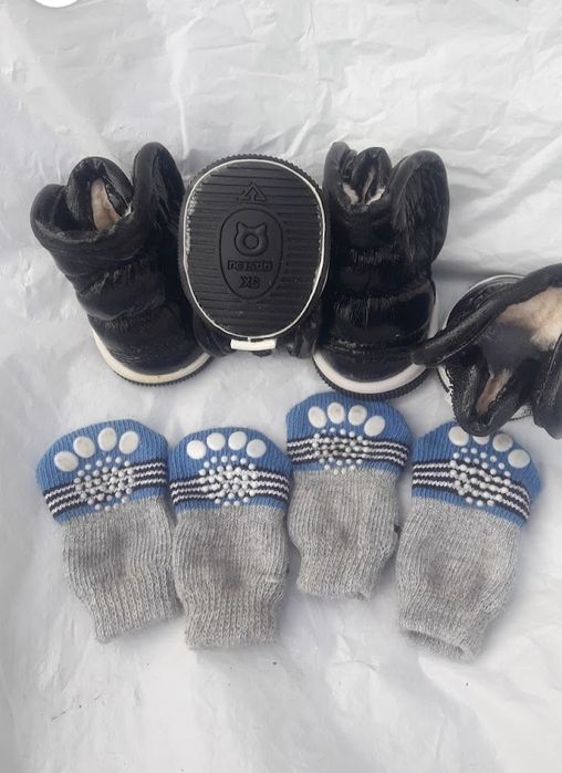 Взуття для котів, собак