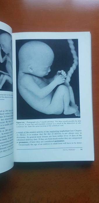 Medical Embryology T. W. Sadler