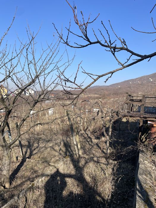 Продам дачу в Виноградові