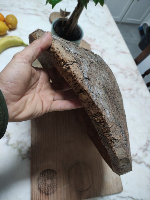 Grande cocho de cortiça