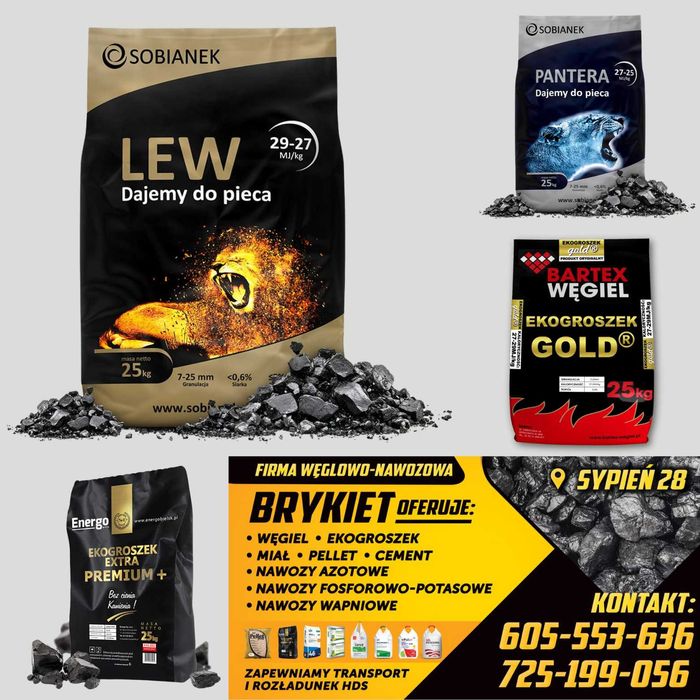 Groszek Sobianek LEW, PANTERA, Energo PREMIUM+