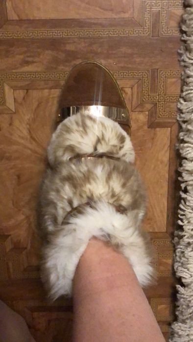 Ботинки хайтопы Nobrand