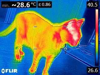 Audyt energetyczny/świadectwo energetyczne