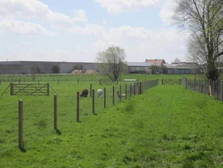 TANIE ogrodzenie budowlane siatka leśna / słupki metalowe
