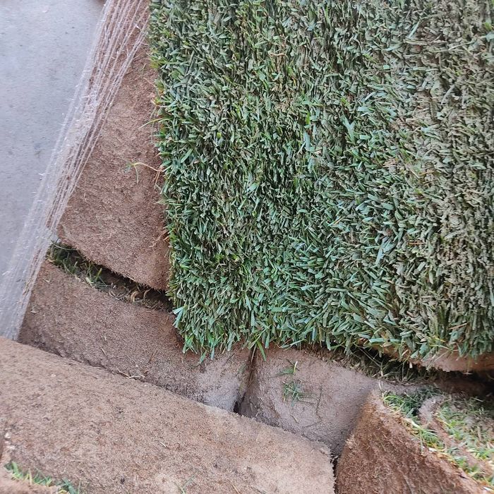 Relva natural em rolos