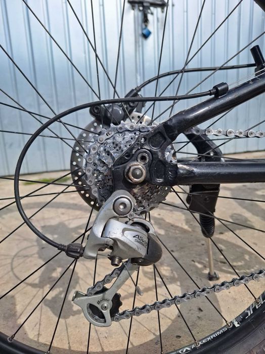 Rower MTB Curtis