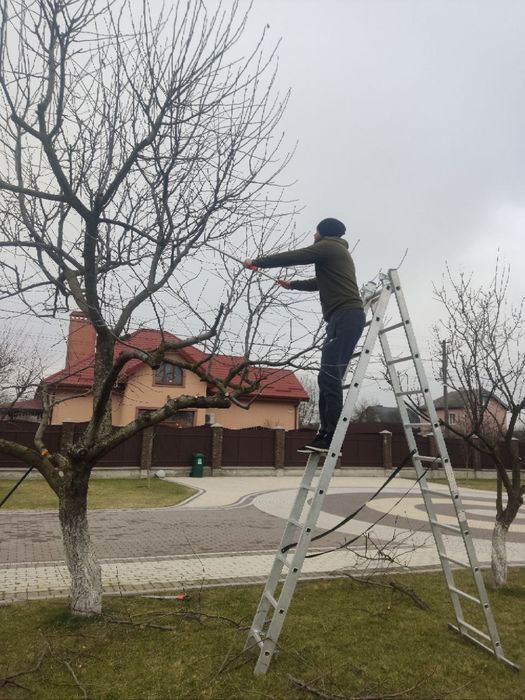 Аерація#скарифікація#ПокісТрави#ОбрізкаДерев#Аерація#ВесняніРоботигазо