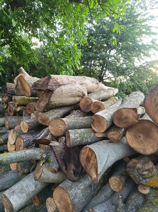 Sprzedam drewno opałowe orzech