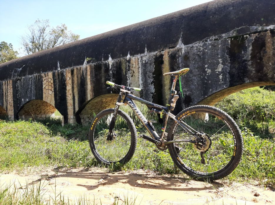 Cannondale Scalpel