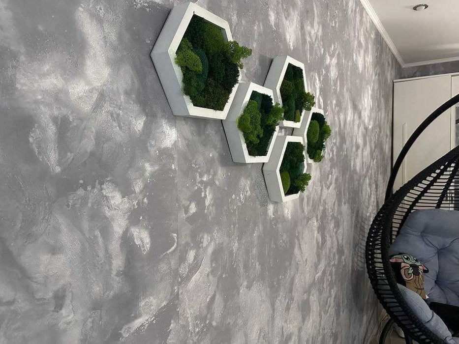 Мох у сотах, соти з мохом,декор з моху, стабілізований мох. ЗНИЖКИ!!!