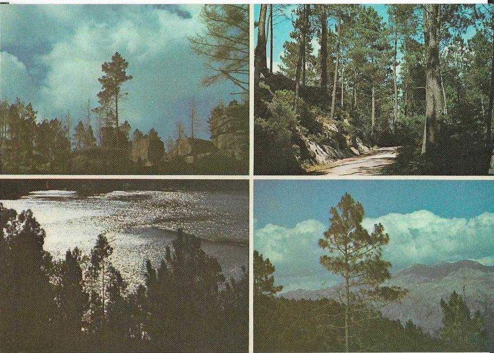Gerês — — — Vintage Postcards (a) (circa 30 years old) — — — — — Postcards64739779725954122