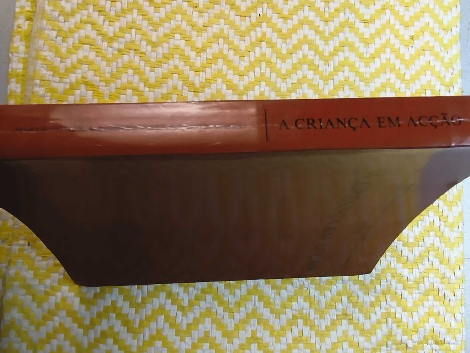 A CRIANÇA EM ACÇÃO – 
Mary Hohmann - Bernard Banet - David F. Weikart