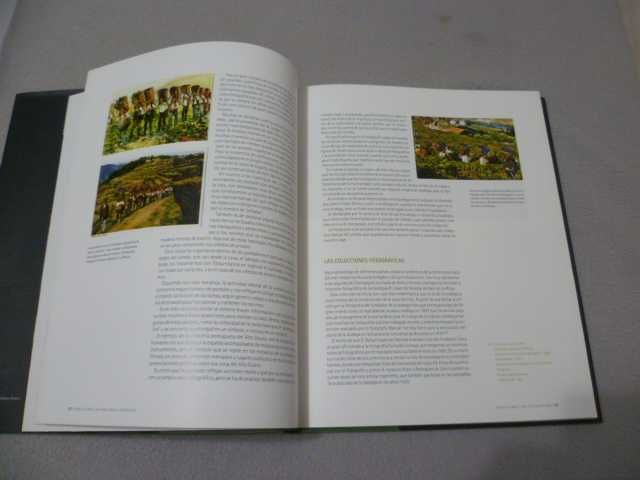 El Paisage del Viñedo - Luis Vicente Elías Pastor (Vinho e Vinha)