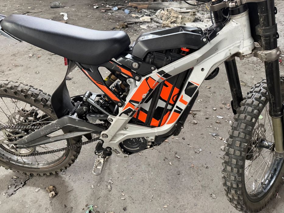Surro light bee x 2022r