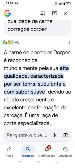 Borregos de Qualidade elevada,3 a 4 meses