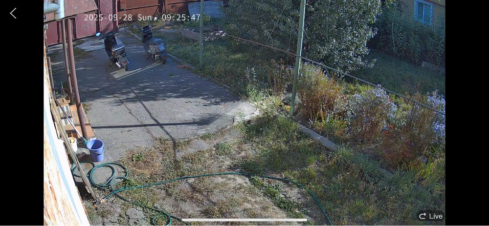 IP-камера TP-Link VIGI C540-W-4