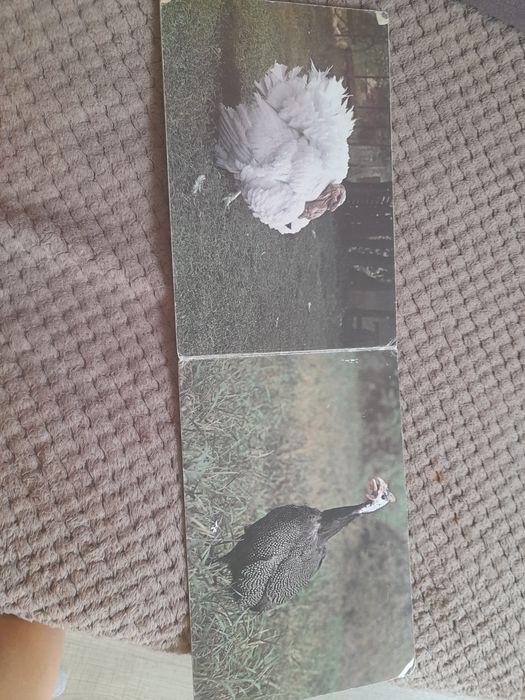 Na podwórzu i na wodzie retro ksiazka