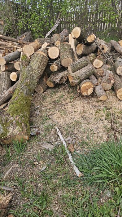 Drewno metry lub klocki opalowe kominkowe